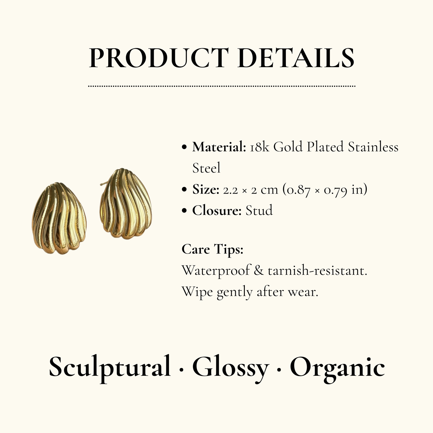 Ribbed Shell Stud Earrings