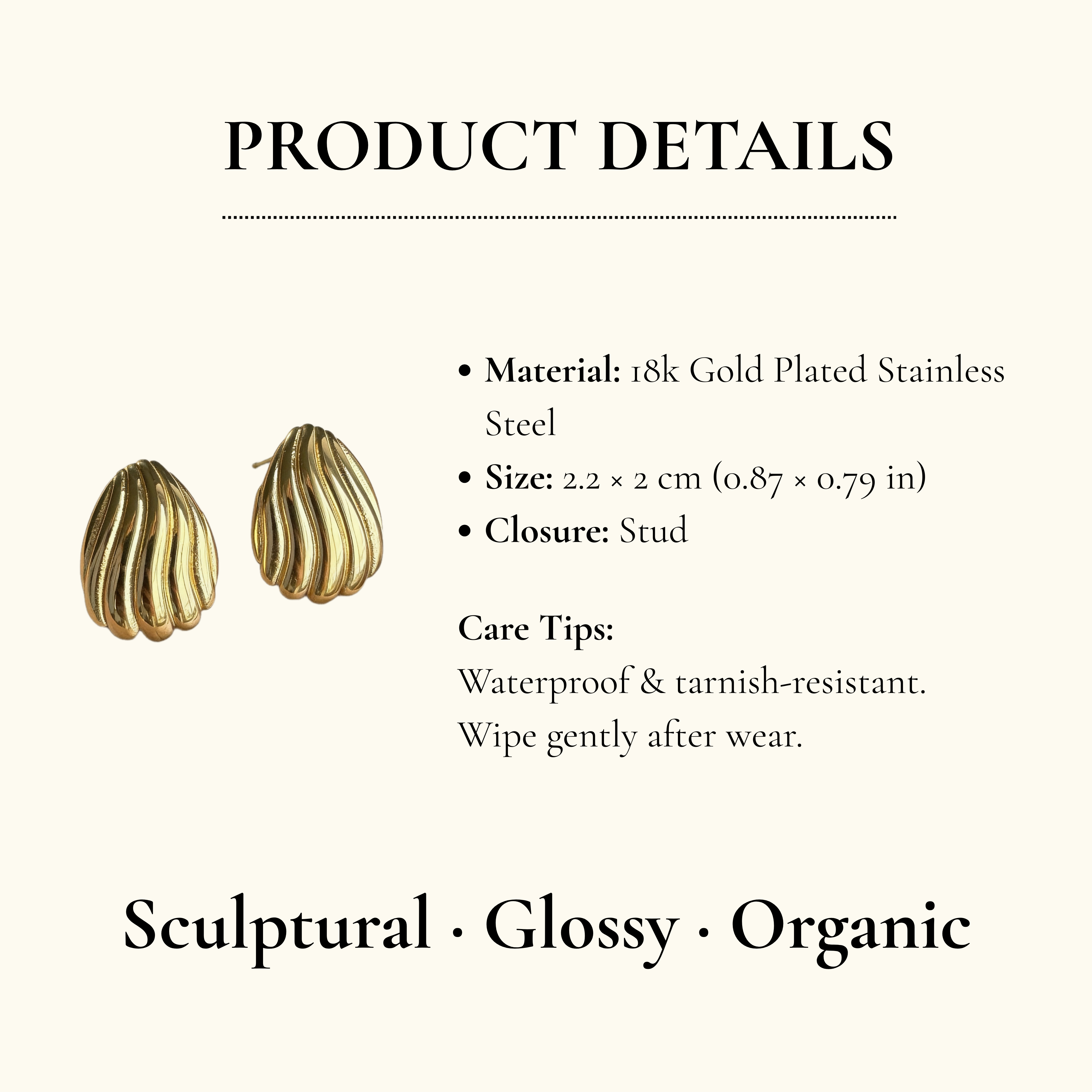 Ribbed Shell Stud Earrings