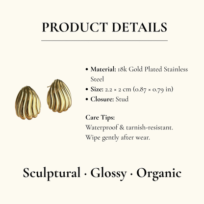 Ribbed Shell Stud Earrings