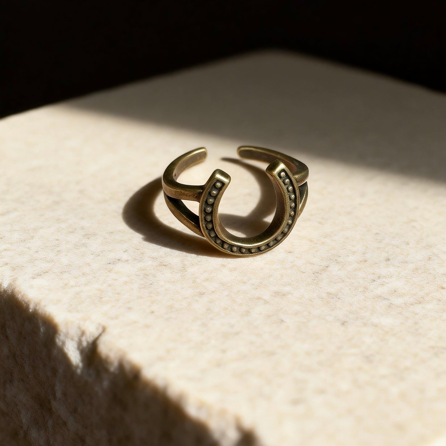 Horseshoe Silver Ring