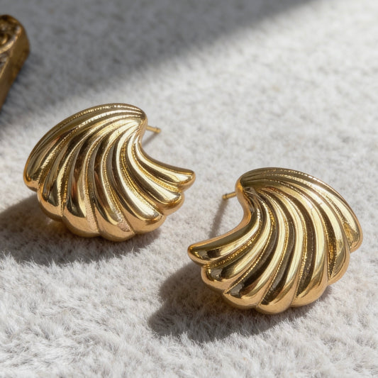 Shell Curve Stud Earrings