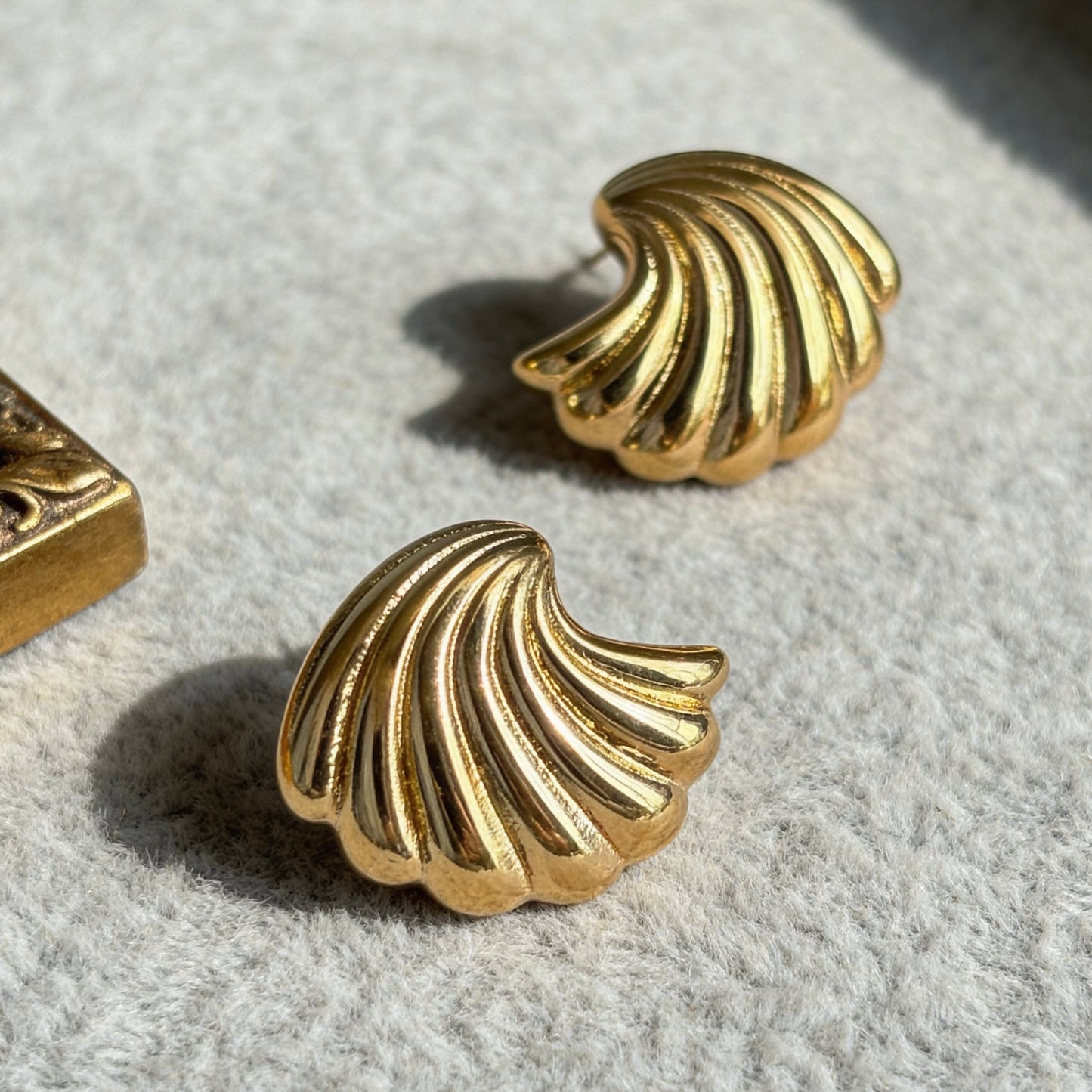 Shell Curve Stud Earrings