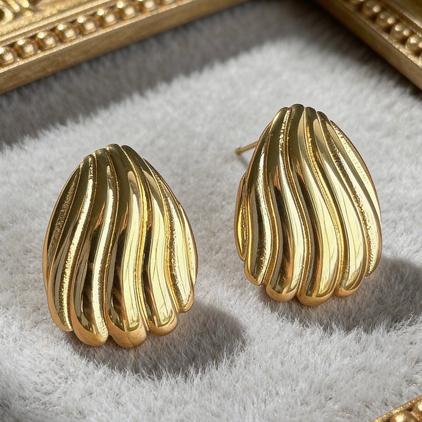 Ribbed Shell Stud Earrings