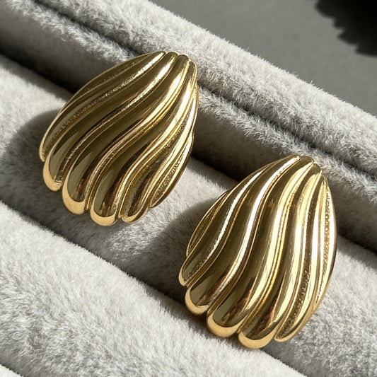 Ribbed Shell Stud Earrings