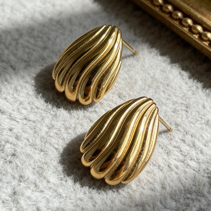 Ribbed Shell Stud Earrings