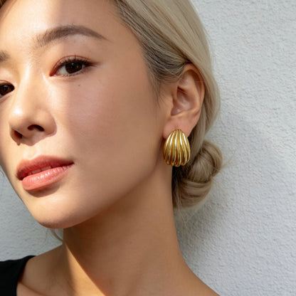 Ribbed Shell Stud Earrings